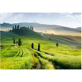 Maisematapetti Artgeist Morning in the countryside, eri kokoja