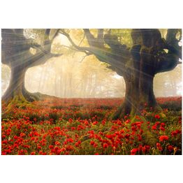 Maisematapetti Artgeist Morning among poppies, metsä, eri kokoja