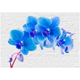 Kuvatapetti Artgeist Blue excitation eri kokoja