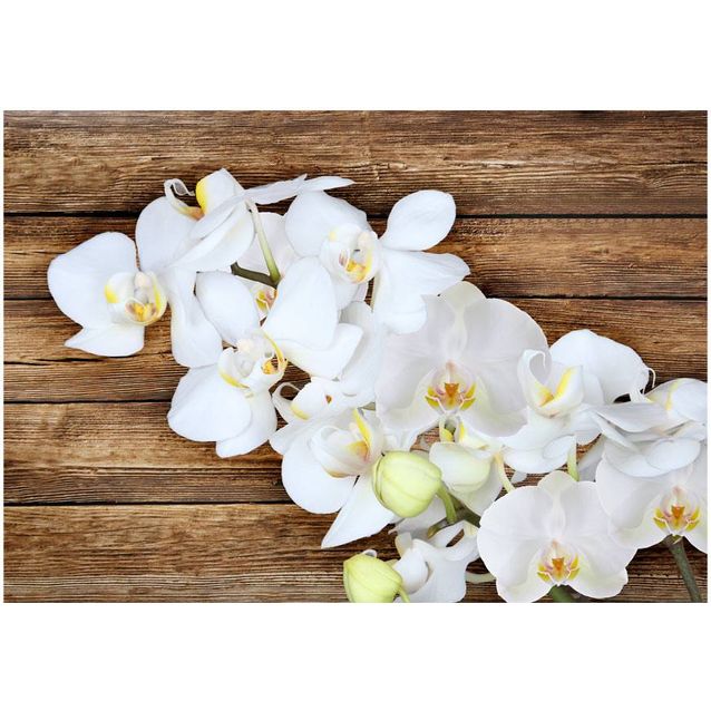 Kuvatapetti Artgeist Delicacy on wood eri kokoja