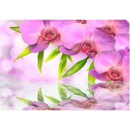 Kuvatapetti Artgeist Orchids in lilac colour eri kokoja