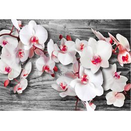 Kuvatapetti Artgeist Callous orchids eri kokoja