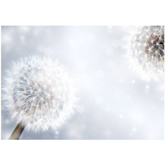 Kuvatapetti Artgeist Unpredictable moments eri kokoja