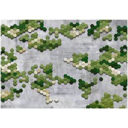 Kuvatapetti Artgeist Upcoming spring eri kokoja