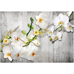 Kuvatapetti Artgeist With saffron accent eri kokoja