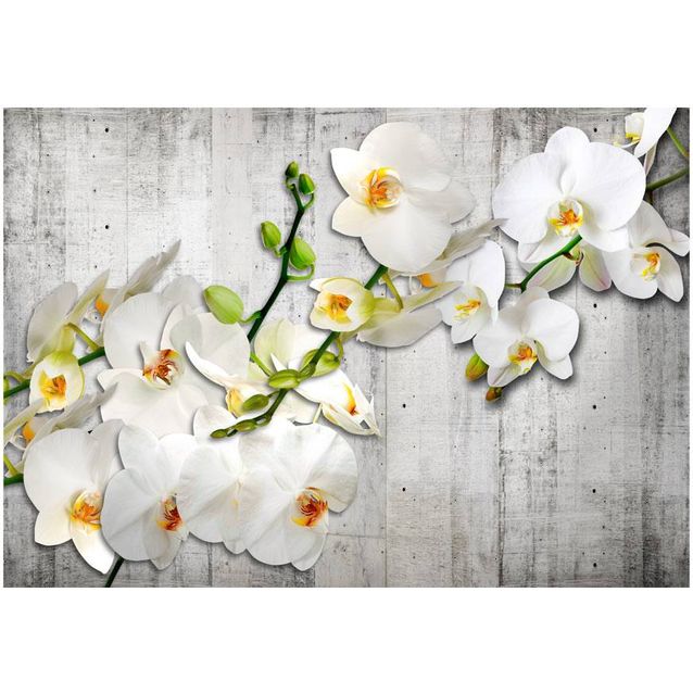 Kuvatapetti Artgeist With saffron accent eri kokoja