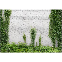 Kuvatapetti Artgeist Creeping ivy, tiiliseinä, eri kokoja