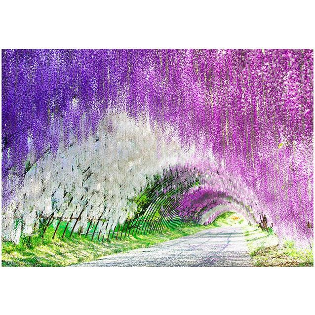 Kuvatapetti Artgeist Enchanted garden eri kokoja