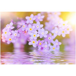 Kuvatapetti Artgeist Violet Petals In Bloom eri kokoja