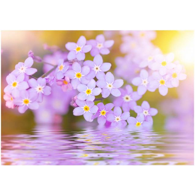 Kuvatapetti Artgeist Violet Petals In Bloom eri kokoja