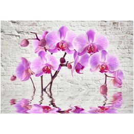 Kuvatapetti Artgeist Purple Delight eri kokoja