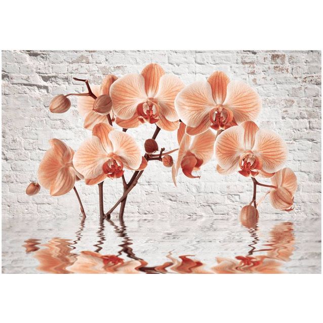 Kuvatapetti Artgeist The Orange Arc eri kokoja