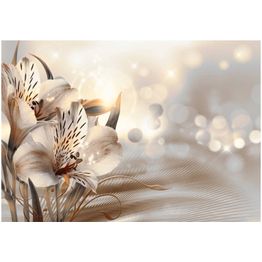 Kuvatapetti Artgeist Princesses of the Morning eri kokoja