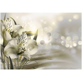 Kuvatapetti Artgeist Green Daybreak eri kokoja