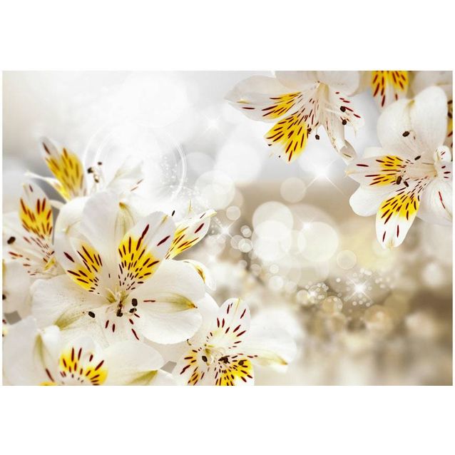 Kuvatapetti Artgeist Sunny Alstroemeria eri kokoja