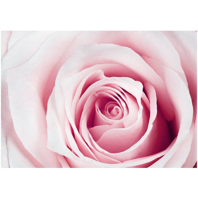 Kuvatapetti Artgeist Rose maze eri kokoja