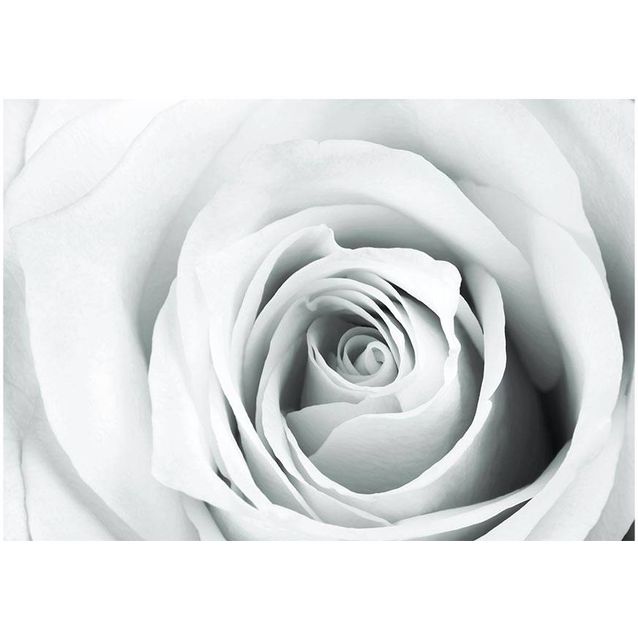 Kuvatapetti Artgeist Rose charade eri kokoja