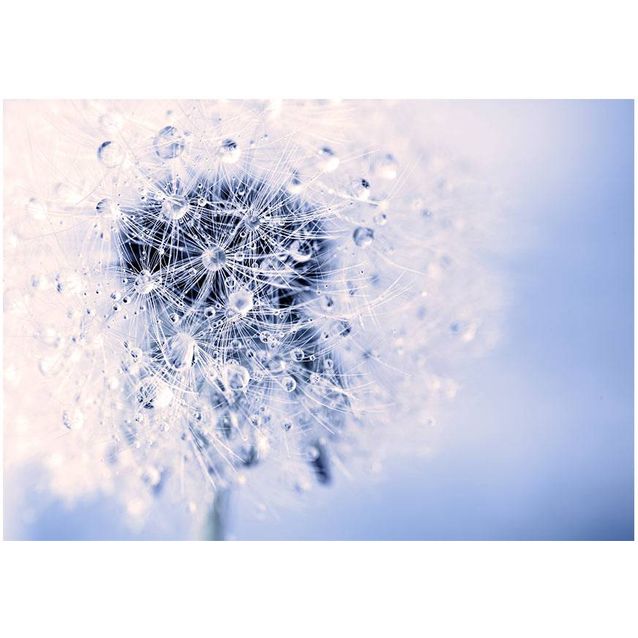 Kuvatapetti Artgeist Etheric Morning eri kokoja