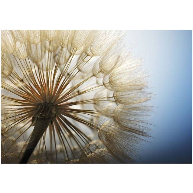 Kuvatapetti Artgeist Summer Delight  eri kokoja