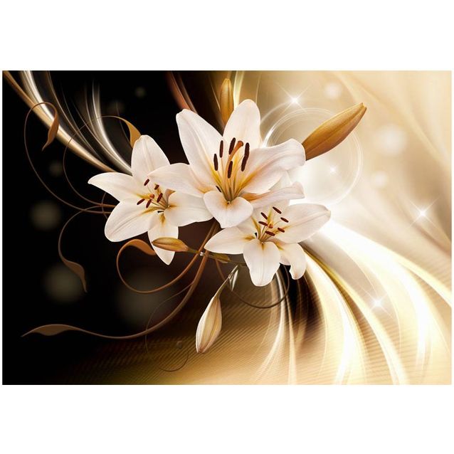 Kuvatapetti Artgeist Circle of Light eri kokoja