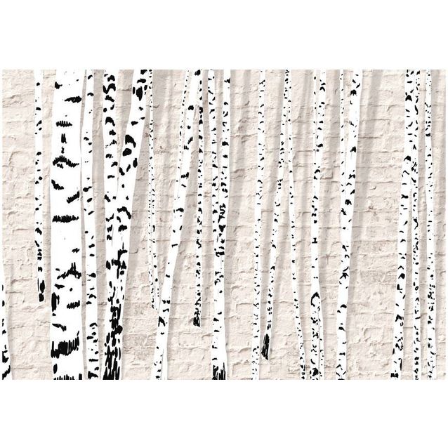 Kuvatapetti Artgeist Birchen Grove eri kokoja