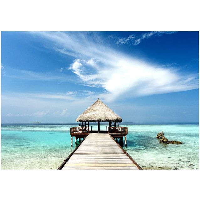 Kuvatapetti Artgeist Holiday adventure eri kokoja