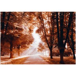 Kuvatapetti Artgeist Autumn Park eri kokoja