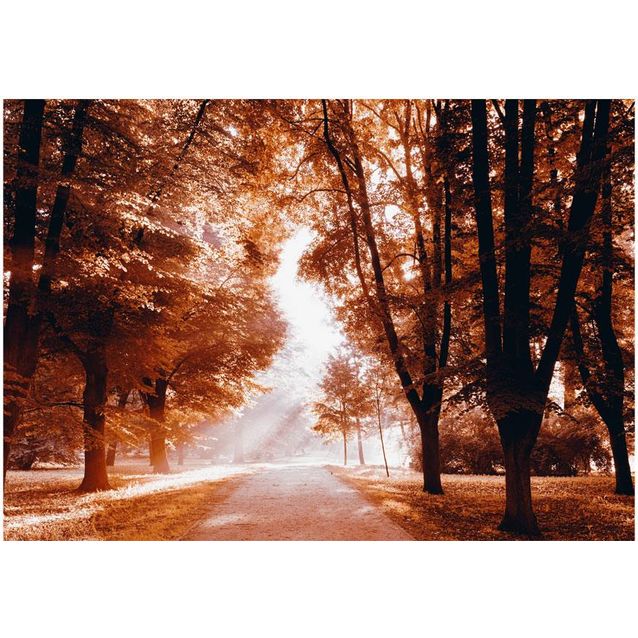 Kuvatapetti Artgeist Autumn Park eri kokoja