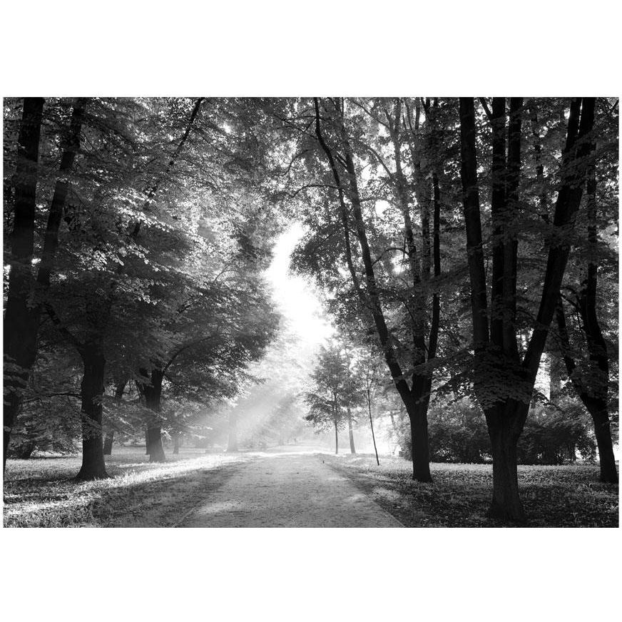 Kuvatapetti Artgeist Path of Memories, 70x100cm, mustavalkoinen