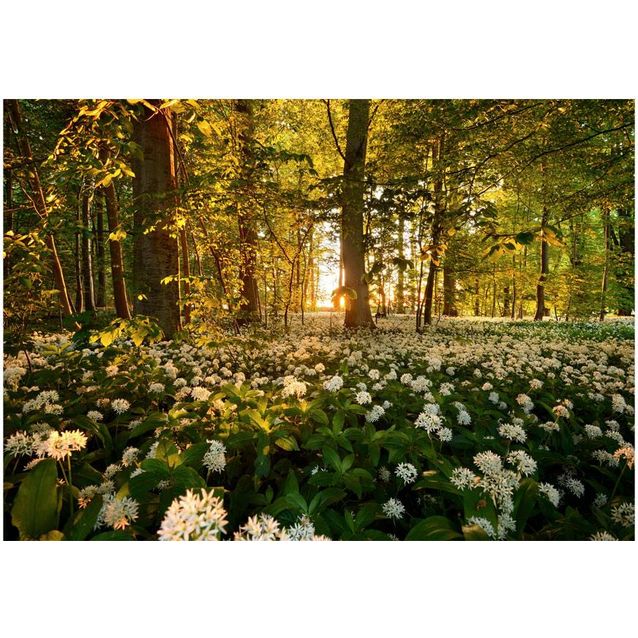 Kuvatapetti Artgeist Forest flora eri kokoja