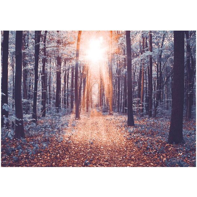 Kuvatapetti Artgeist Edge of the Sun eri kokoja