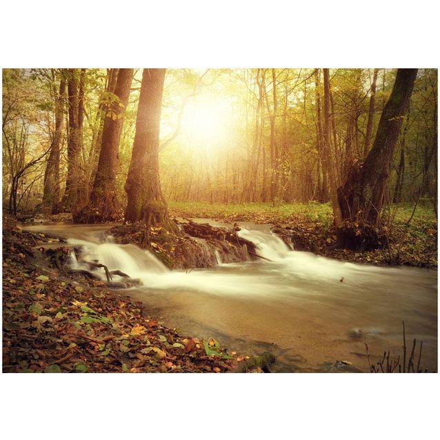 Kuvatapetti Artgeist Sunny Current eri kokoja