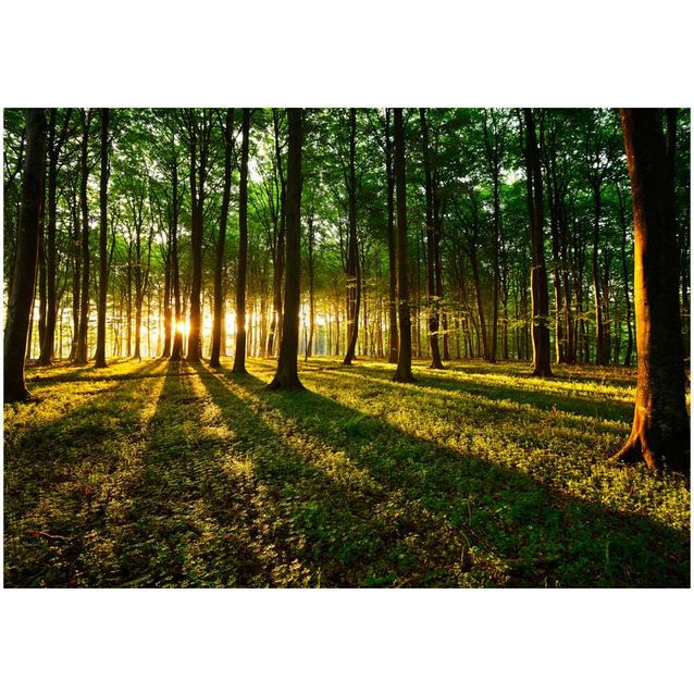 Kuvatapetti Artgeist Mystical Morning eri kokoja