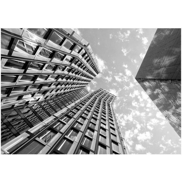 Kuvatapetti Artgeist Reach for the Sky eri kokoja