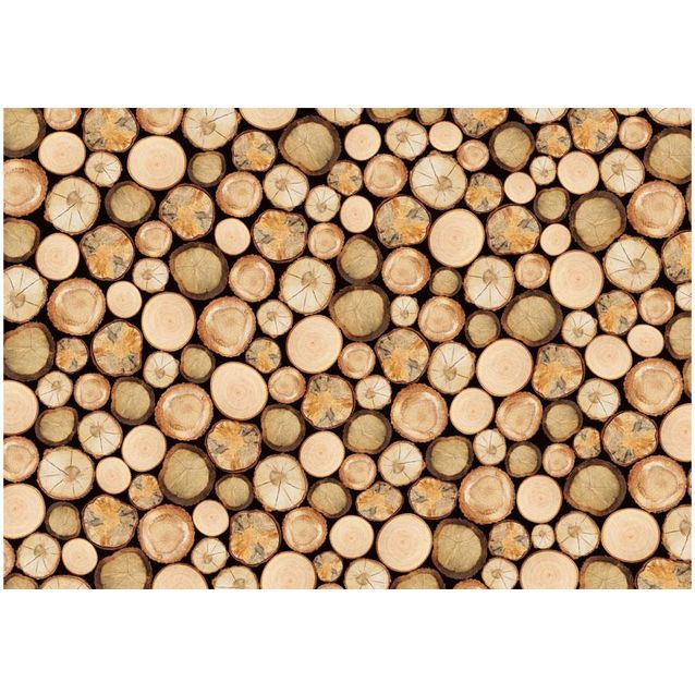 Kuvatapetti Artgeist In sawmill eri kokoja