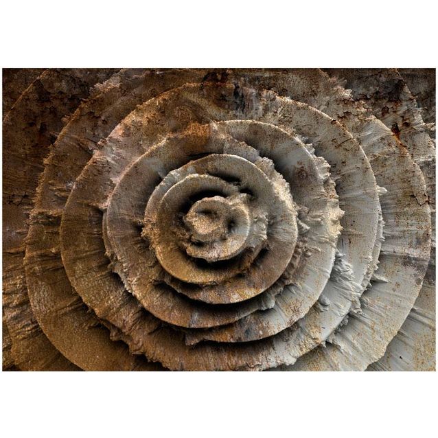 Kuvatapetti Artgeist Desert rose eri kokoja