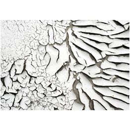 Kuvatapetti Artgeist Signs of the time eri kokoja