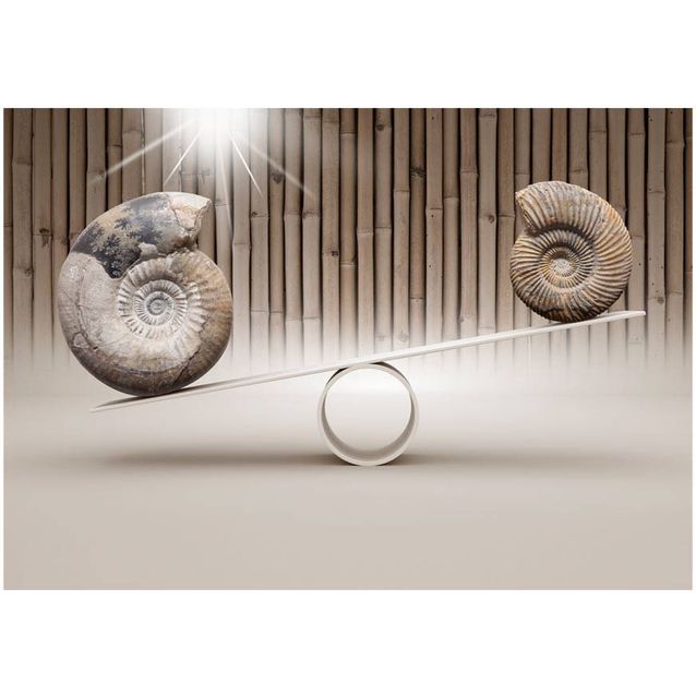 Kuvatapetti Artgeist Fun with Fossils  eri kokoja