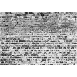 Kuvatapetti Artgeist Border of Greynesses eri kokoja