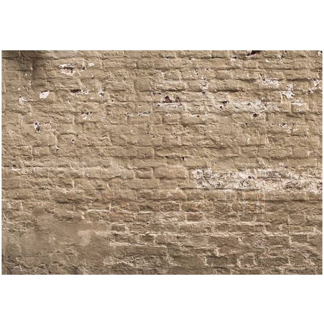 Kuvatapetti Artgeist Urban Oasis, tiiliseinä, eri kokoja