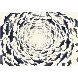 Kuvatapetti Artgeist Fish swirl eri kokoja