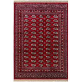 Matto Benina Teheran Boccara, eri kokoja ja värejä