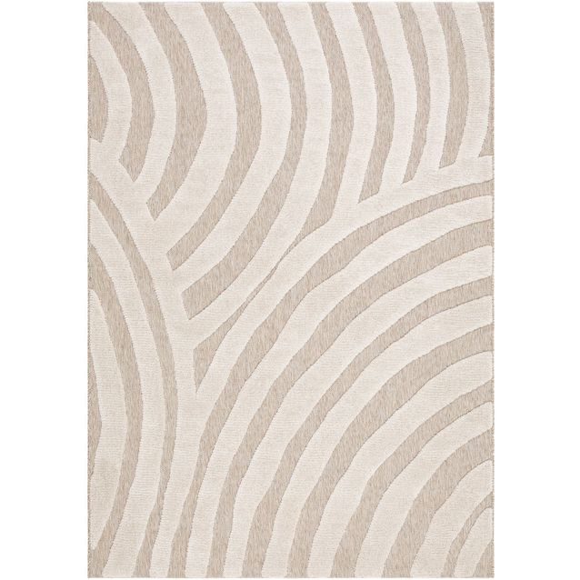 Matto Benina Nature Evolution