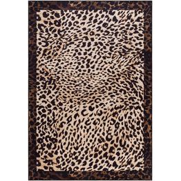 Matto Benina Rome Leopard