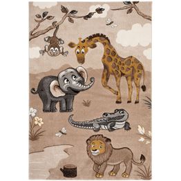 Matto Benina Atlas Zoo ruskea, eri kokoja