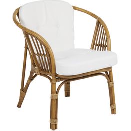 Rottinkituoli Brafab Astrakan, pehmusteella, ruskea/valkoinen