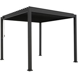 Pergola Brafab Sombra, antrasiitti, eri kokoja