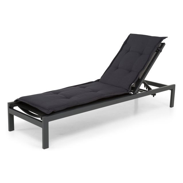 Aurinkotuolinpehmuste musta