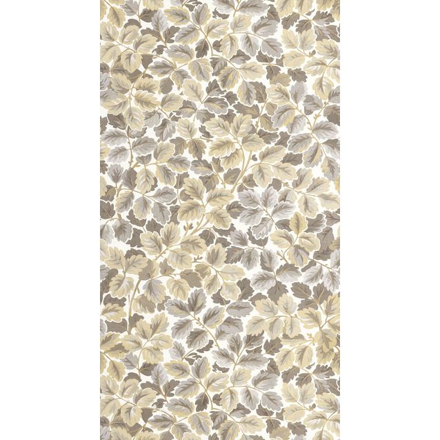 Tapetti Casadeco Regent'S Park Naturel (201201895)