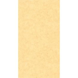 Tapetti Caselio Uni Mat, non-woven, vinyylipinta